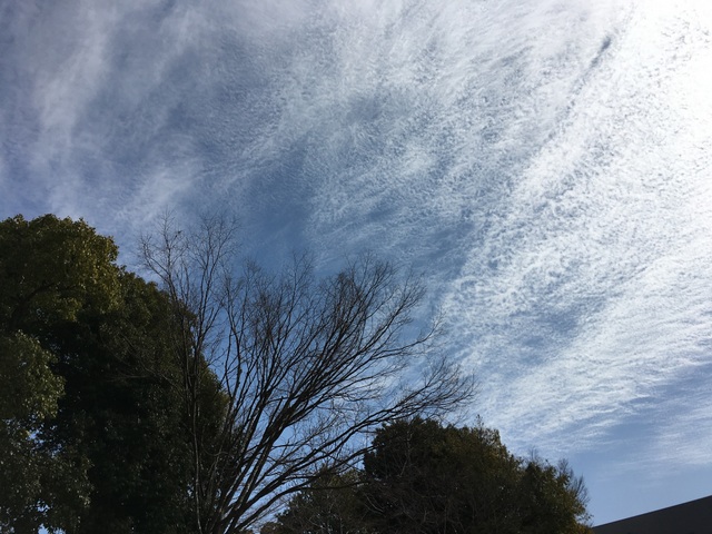 f:id:mimozaai:20180218200440j:plain