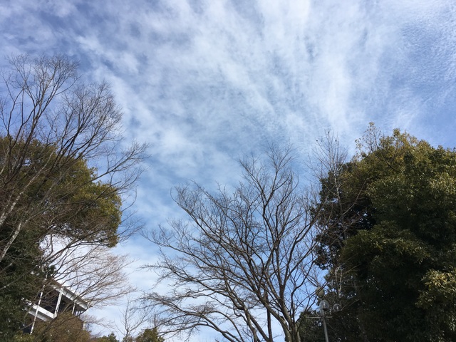 f:id:mimozaai:20180218200451j:plain