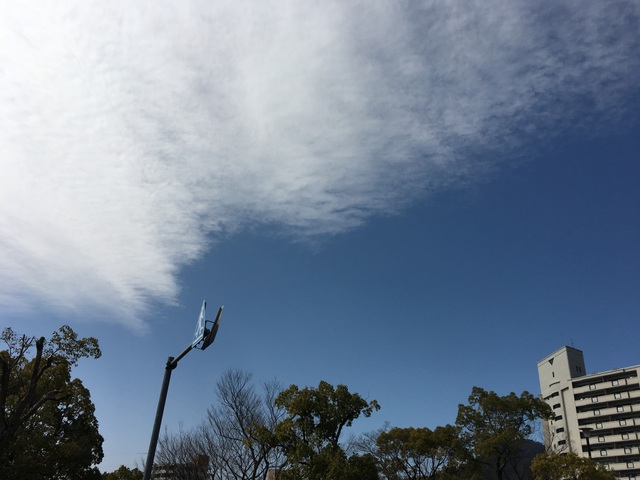 f:id:mimozaai:20180218200506j:plain