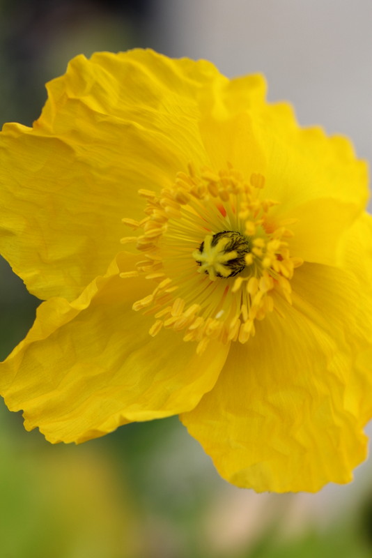 f:id:mimozaai:20180427202519j:plain