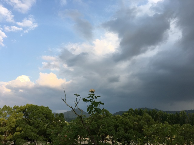 f:id:mimozaai:20180806194649j:plain