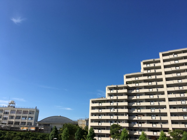 f:id:mimozaai:20180808205127j:plain