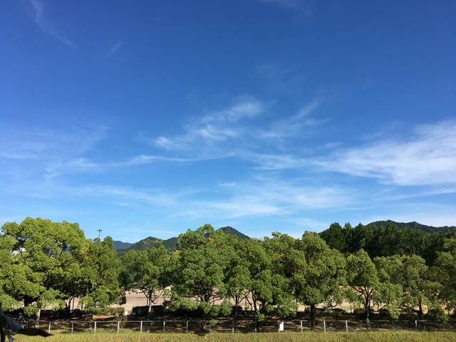 f:id:mimozaai:20180808205320j:plain
