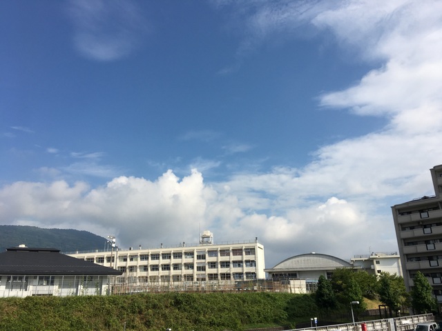 f:id:mimozaai:20180828203051j:plain