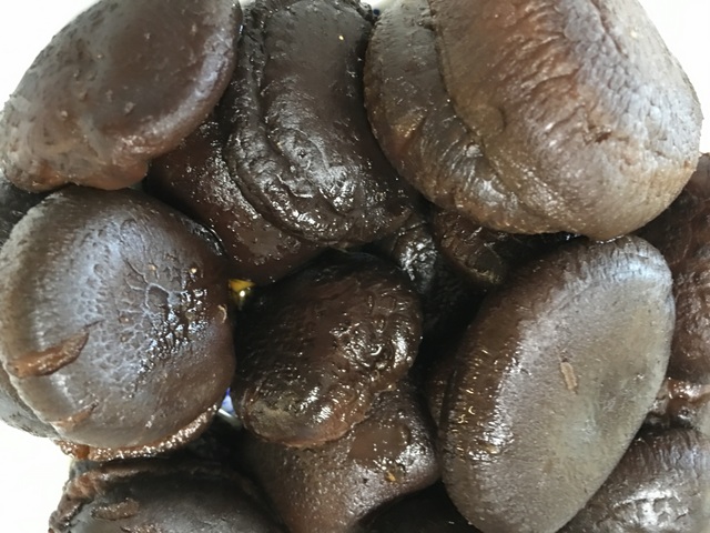 f:id:mimozaai:20180828204437j:plain