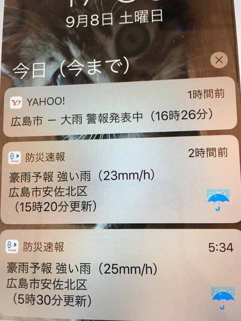 f:id:mimozaai:20180909195312j:plain