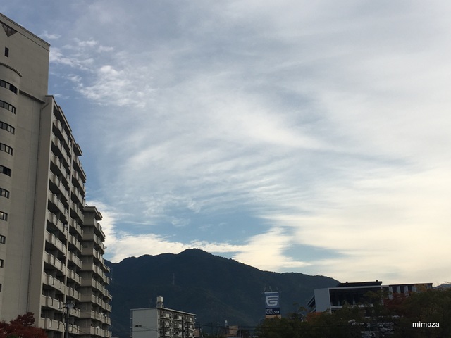 f:id:mimozaai:20181031203007j:plain