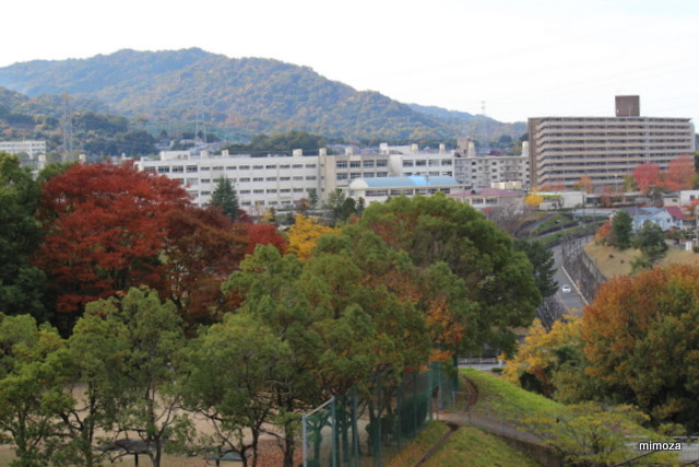 f:id:mimozaai:20181113191916j:plain