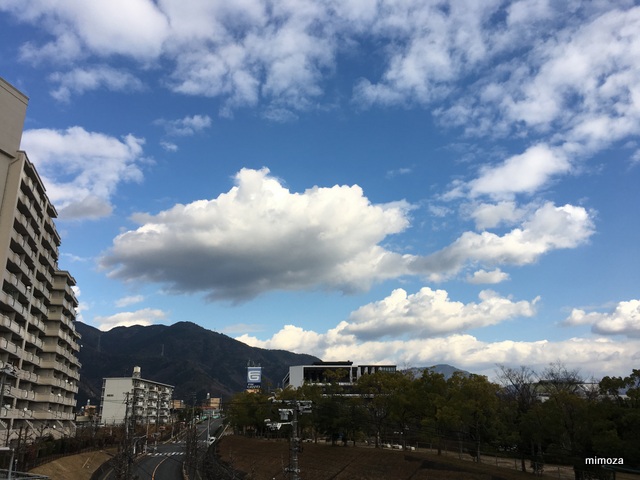 f:id:mimozaai:20190114214322j:plain