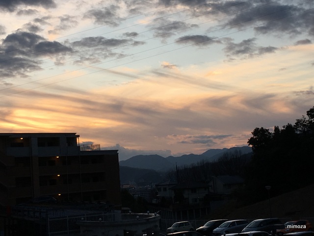 f:id:mimozaai:20190114214347j:plain