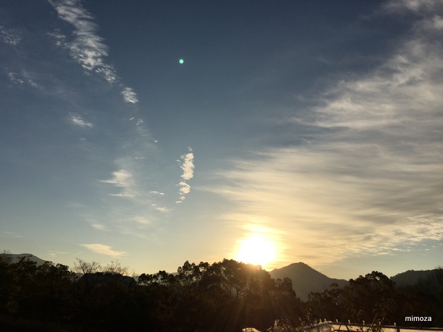 f:id:mimozaai:20190119204925j:plain