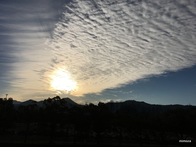f:id:mimozaai:20190119205015j:plain