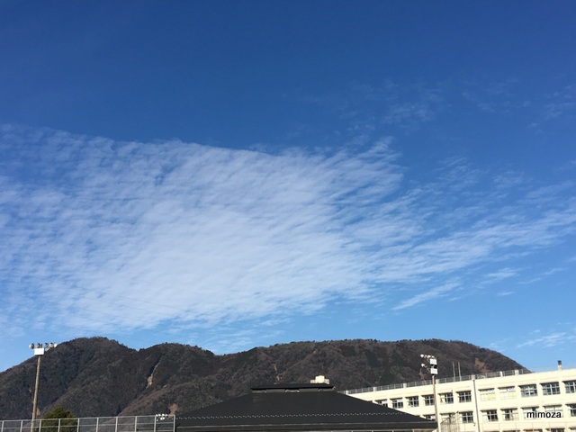 f:id:mimozaai:20190119205041j:plain