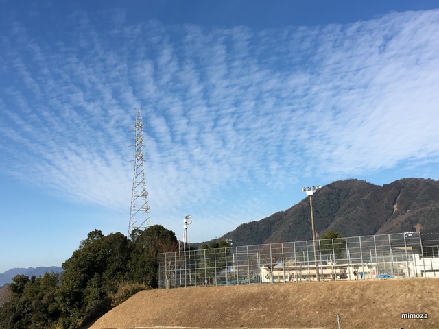 f:id:mimozaai:20190119205136j:plain