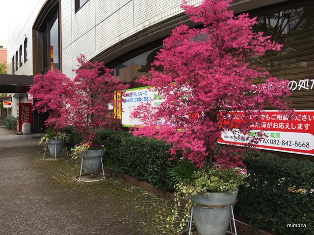 f:id:mimozaai:20190414195105j:plain