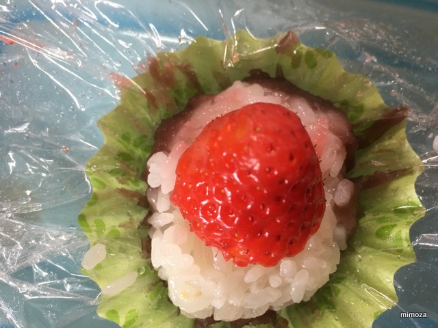 f:id:mimozaai:20190423211435j:plain f:id:mimozaai:20190423211435j:plain