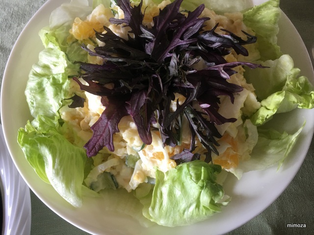 f:id:mimozaai:20190423211516j:plain f:id:mimozaai:20190423211516j:plain
