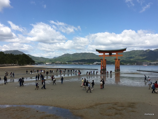 f:id:mimozaai:20190428204934j:plain