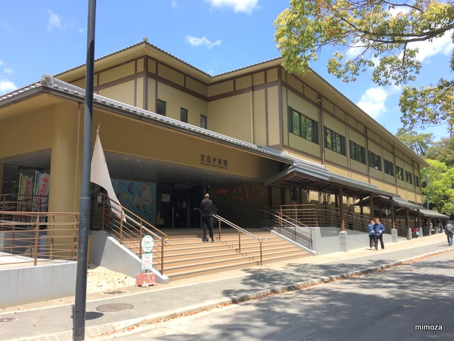 f:id:mimozaai:20190428205008j:plain