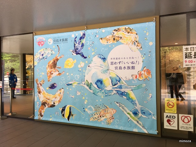 f:id:mimozaai:20190428205019j:plain