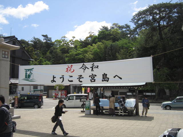 f:id:mimozaai:20190428205550j:plain