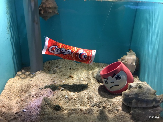 f:id:mimozaai:20190428205727j:plain