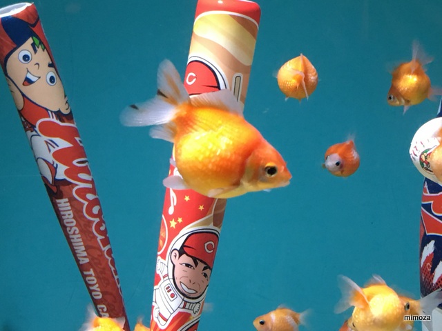 f:id:mimozaai:20190428205736j:plain