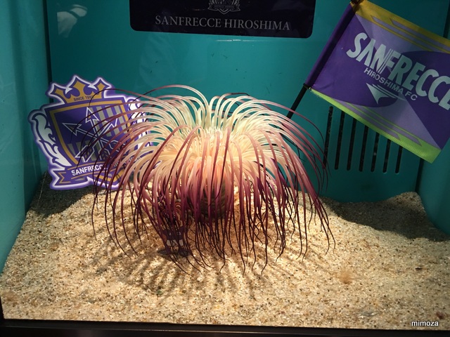 f:id:mimozaai:20190428205816j:plain