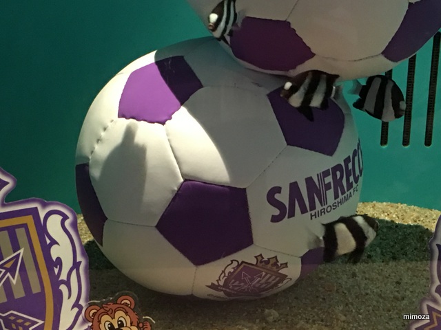 f:id:mimozaai:20190428205837j:plain