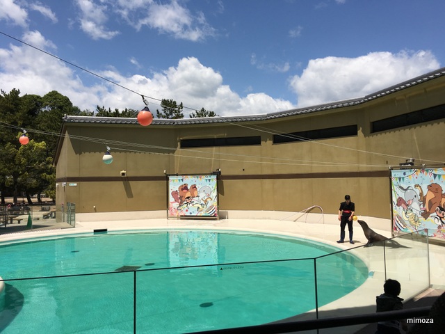 f:id:mimozaai:20190428210111j:plain