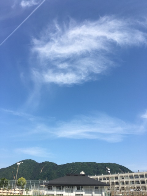 f:id:mimozaai:20190516202042j:plain f:id:mimozaai:20190516202042j:plain