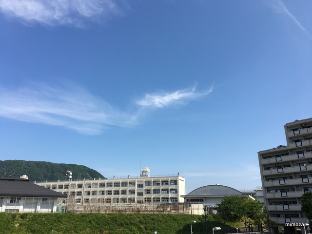 f:id:mimozaai:20190516202054j:plain f:id:mimozaai:20190516202054j:plain