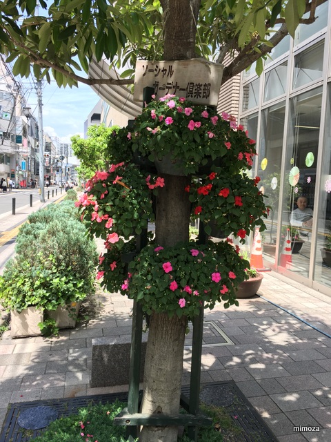 f:id:mimozaai:20190516202352j:plain f:id:mimozaai:20190516202352j:plain