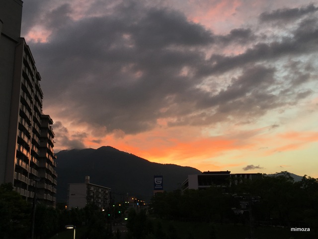 f:id:mimozaai:20190712211352j:plain