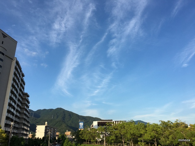 f:id:mimozaai:20190712211421j:plain