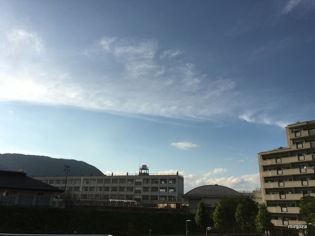 f:id:mimozaai:20190712211438j:plain