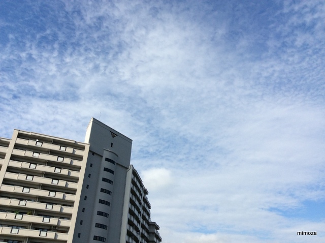 f:id:mimozaai:20190712211505j:plain