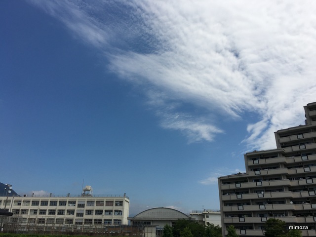 f:id:mimozaai:20190725223233j:plain f:id:mimozaai:20190725223233j:plain