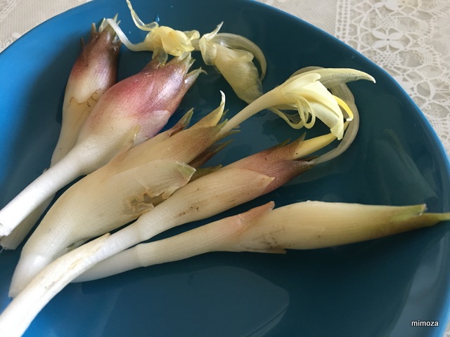 f:id:mimozaai:20190725223301j:plain f:id:mimozaai:20190725223301j:plain