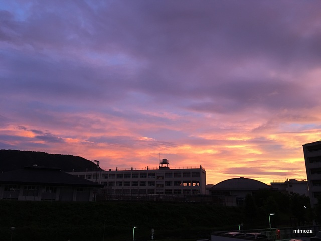 f:id:mimozaai:20190806202814j:plain f:id:mimozaai:20190806202814j:plain