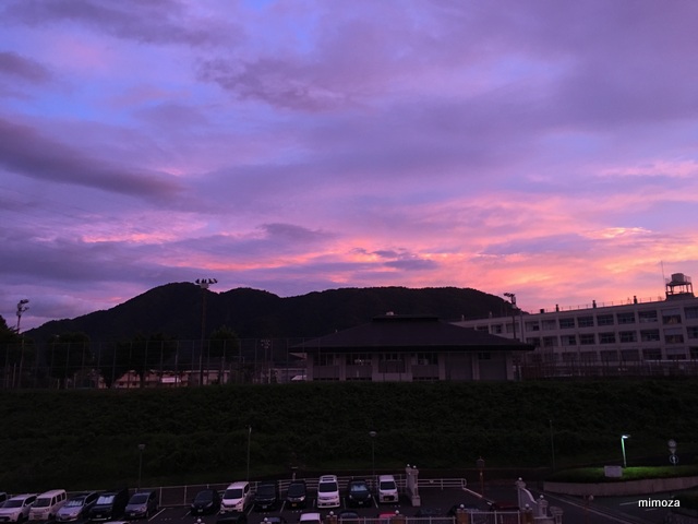 f:id:mimozaai:20190806202838j:plain f:id:mimozaai:20190806202838j:plain