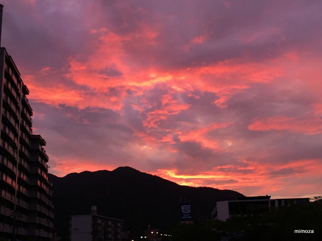 f:id:mimozaai:20190806202905j:plain f:id:mimozaai:20190806202905j:plain