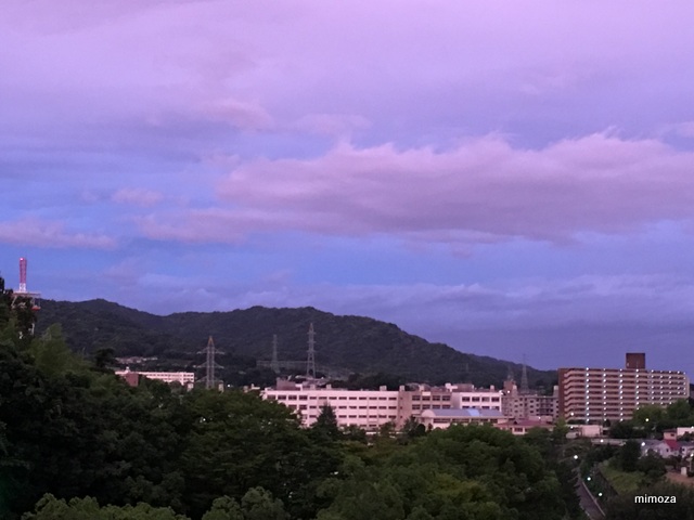 f:id:mimozaai:20190806203030j:plain f:id:mimozaai:20190806203030j:plain