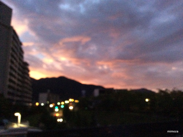 f:id:mimozaai:20190806203041j:plain f:id:mimozaai:20190806203041j:plain