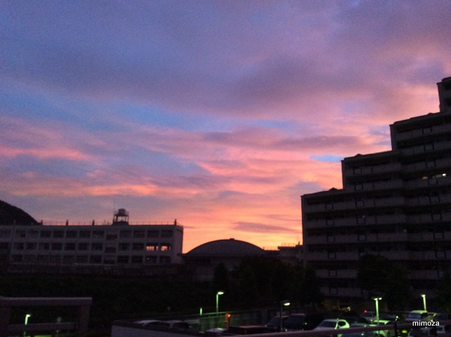 f:id:mimozaai:20190806203134j:plain f:id:mimozaai:20190806203134j:plain