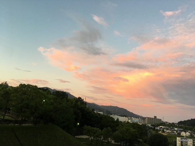 f:id:mimozaai:20190810150655j:plain f:id:mimozaai:20190810150655j:plain