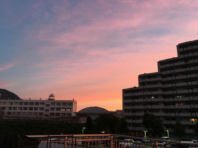 f:id:mimozaai:20190810151042j:plain f:id:mimozaai:20190810151042j:plain
