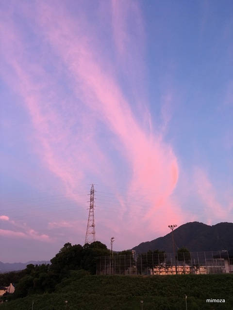 f:id:mimozaai:20190810151113j:plain f:id:mimozaai:20190810151113j:plain