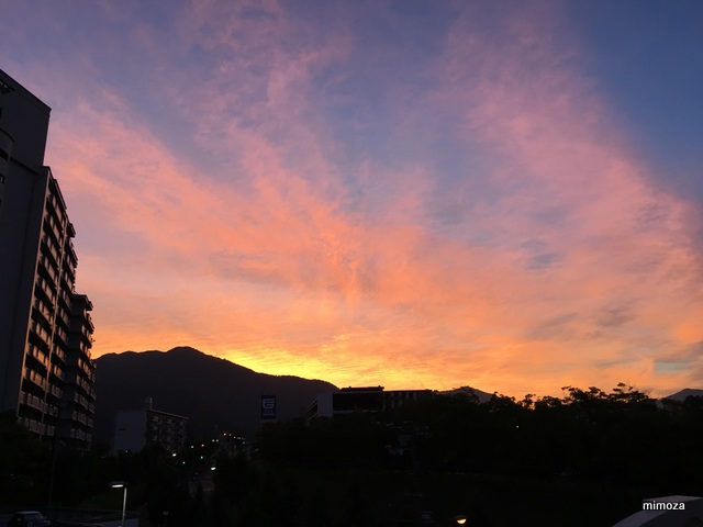 f:id:mimozaai:20190810151131j:plain f:id:mimozaai:20190810151131j:plain