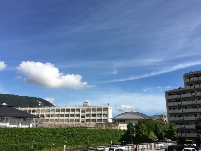 f:id:mimozaai:20190810224836j:plain f:id:mimozaai:20190810224836j:plain